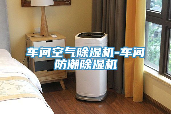 車間空氣除濕機-車間防潮除濕機