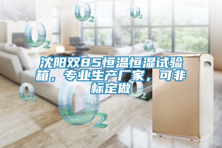 沈陽雙85恒溫恒濕試驗箱，專業生產廠家，可非標定做