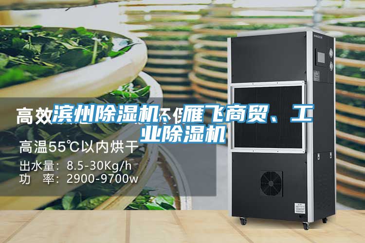 濱州除濕機、雁飛商貿、工業除濕機