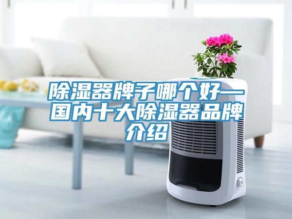 除濕器牌子哪個好—國內十大除濕器品牌介紹