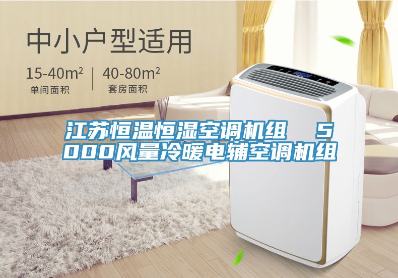 江蘇恒溫恒濕空調機組  5000風量冷暖電輔空調機組