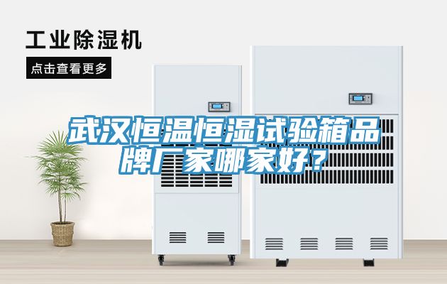 武漢恒溫恒濕試驗箱品牌廠家哪家好？