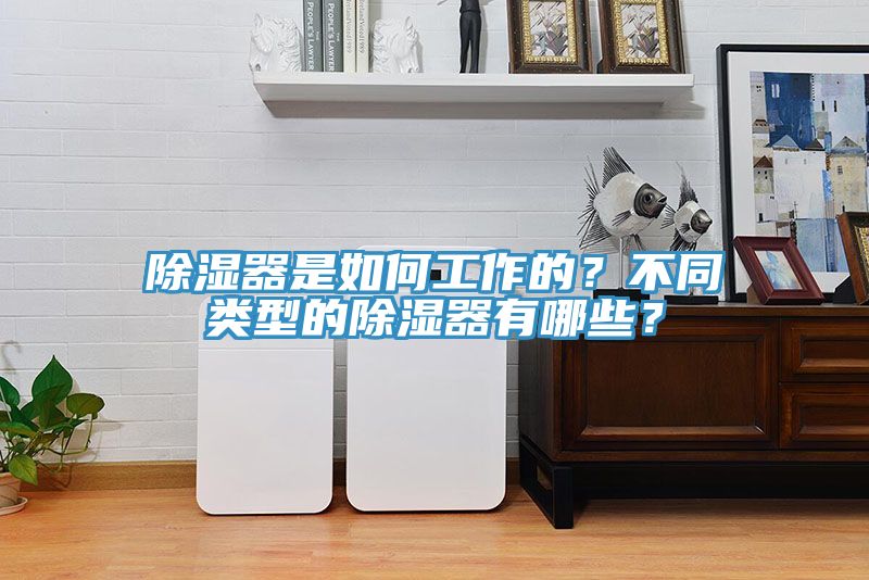 除濕器是如何工作的？不同類型的除濕器有哪些？