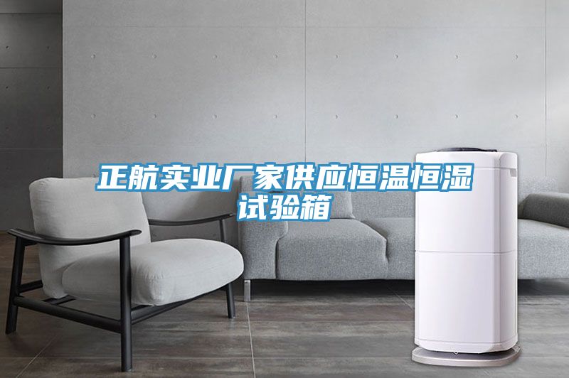 正航實業廠家供應恒溫恒濕試驗箱