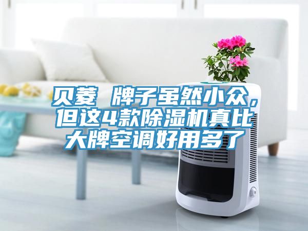 貝菱 牌子雖然小眾，但這4款除濕機真比大牌空調(diào)好用多了
