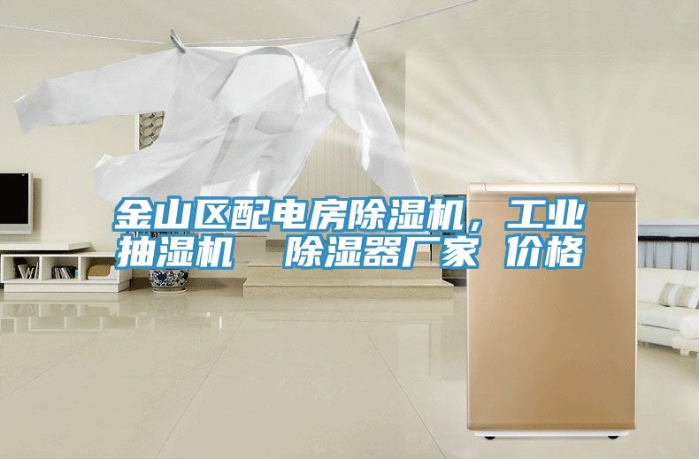 金山區(qū)配電房除濕機(jī)，工業(yè)抽濕機(jī)  除濕器廠家 價(jià)格