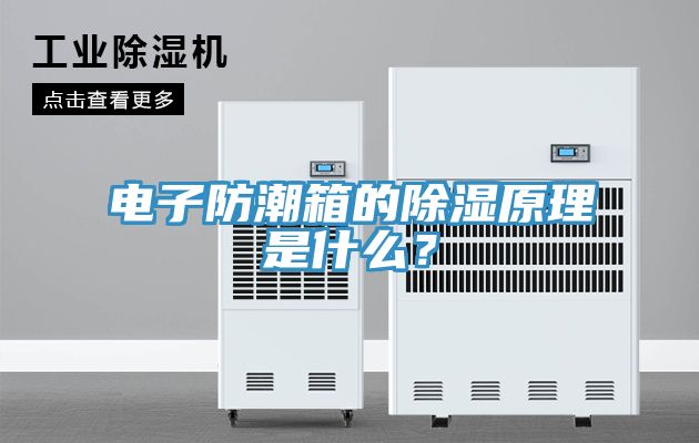 電子防潮箱的除濕原理是什么？