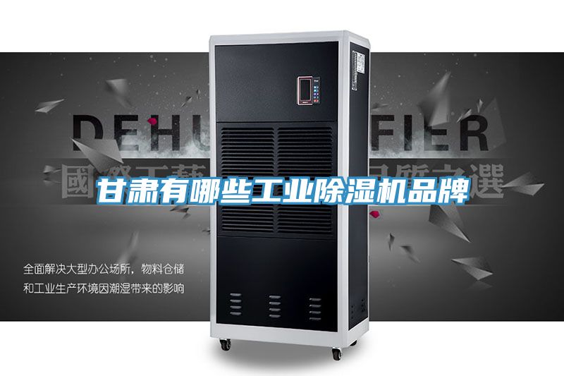 甘肅有哪些工業除濕機品牌