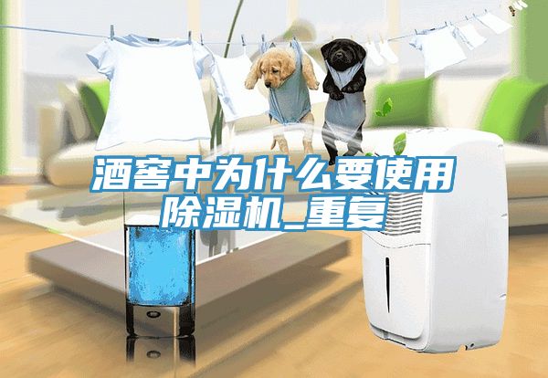 酒窖中為什么要使用除濕機_重復(fù)