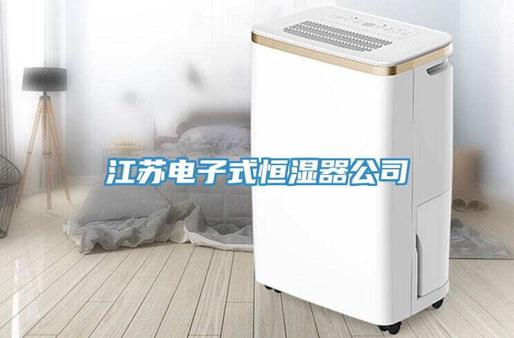 江蘇電子式恒濕器公司