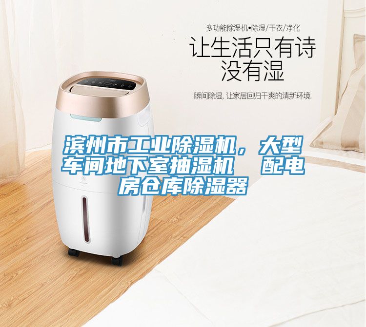 濱州市工業除濕機，大型車間地下室抽濕機  配電房倉庫除濕器