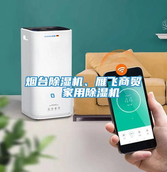 煙臺除濕機、雁飛商貿、家用除濕機