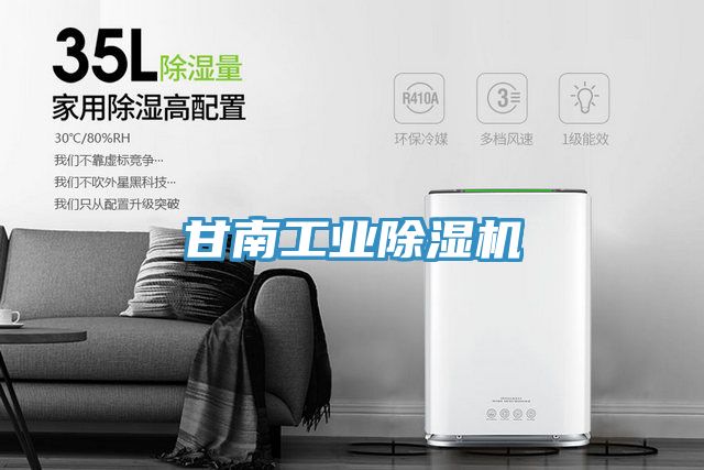 甘南工業除濕機