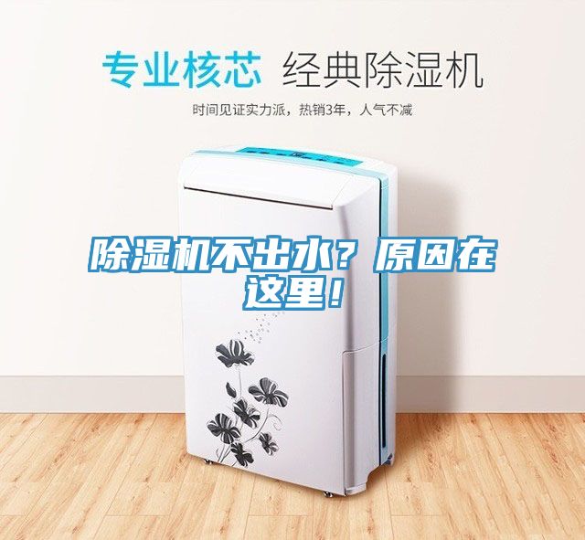 除濕機不出水？原因在這里！