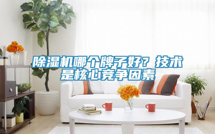 除濕機哪個牌子好？技術是核心競爭因素