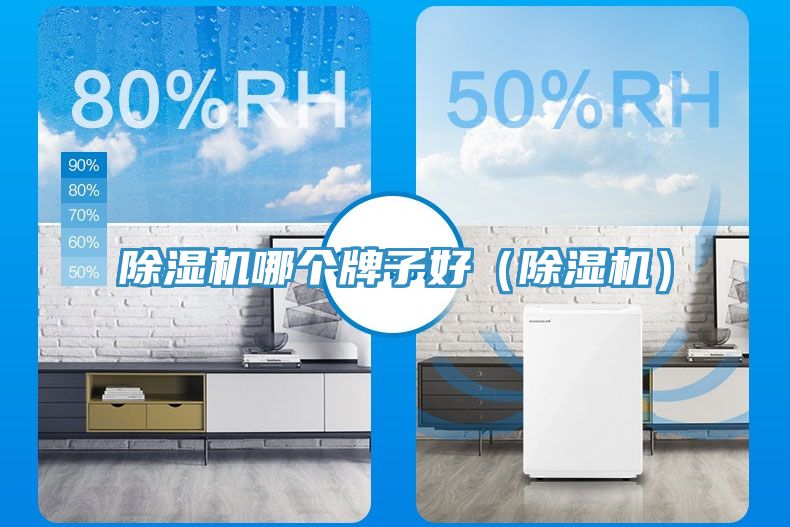 除濕機哪個牌子好（除濕機）