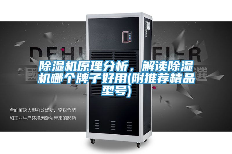 除濕機(jī)原理分析，解讀除濕機(jī)哪個(gè)牌子好用(附推薦精品型號)
