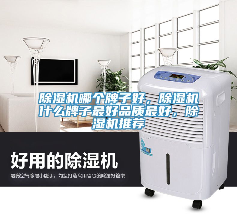 除濕機哪個牌子好，除濕機什么牌子最好品質最好，除濕機推薦