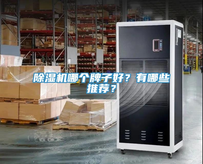 除濕機哪個牌子好？有哪些推薦？