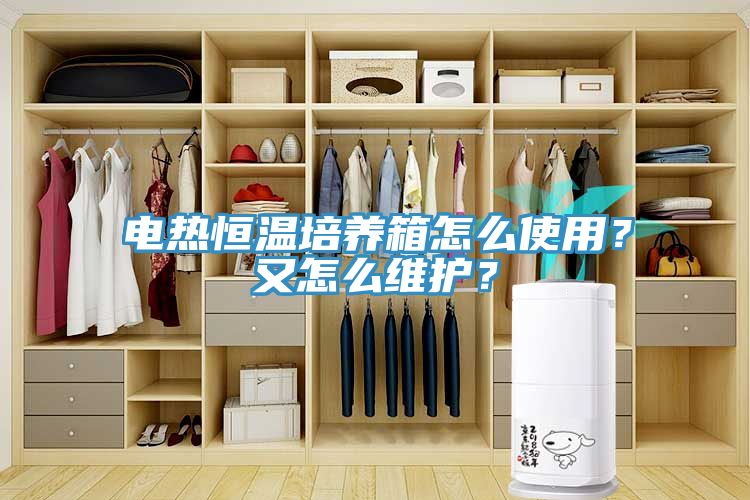 電熱恒溫培養(yǎng)箱怎么使用？又怎么維護(hù)？