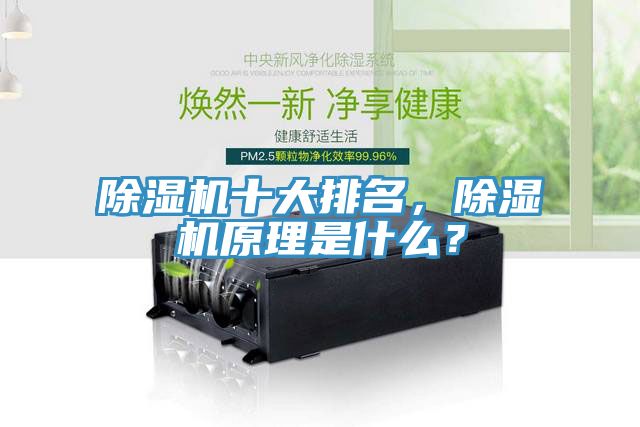 除濕機(jī)十大排名，除濕機(jī)原理是什么？