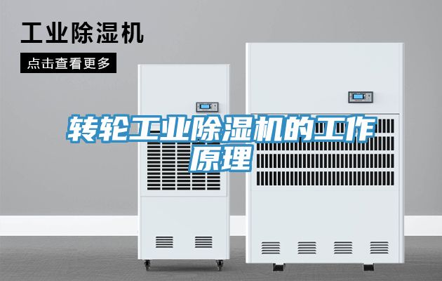 轉(zhuǎn)輪工業(yè)除濕機的工作原理