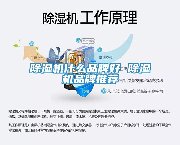 除濕機什么品牌好 除濕機品牌推薦