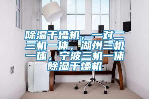 除濕干燥機，一對二三機一體，湖州三機一體，寧波三機一體除濕干燥機