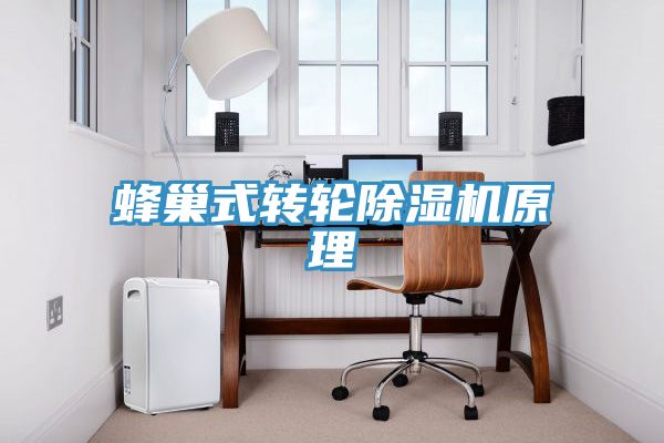 蜂巢式轉輪除濕機原理