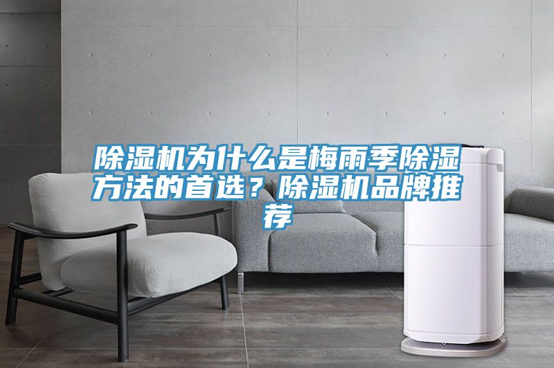 除濕機為什么是梅雨季除濕方法的首選？除濕機品牌推薦