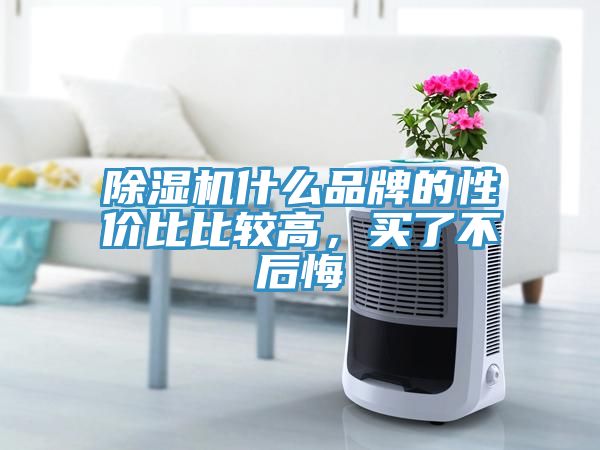 除濕機什么品牌的性價比比較高，買了不后悔