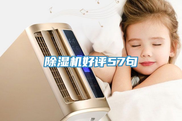 除濕機(jī)好評57句