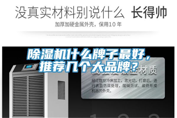 除濕機什么牌子最好，推薦幾個大品牌？