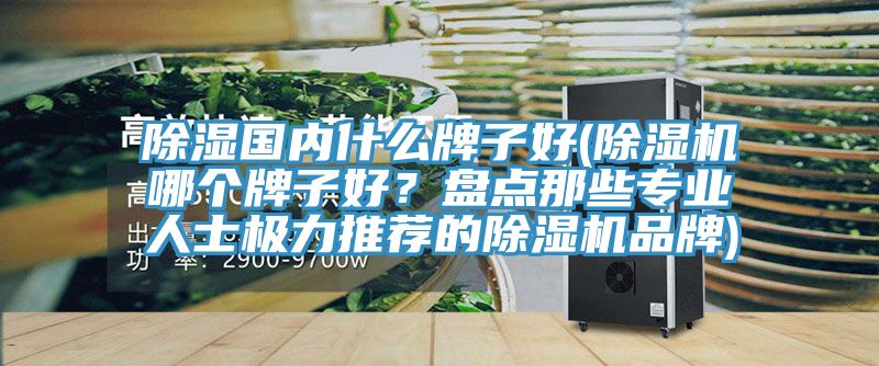 除濕國內什么牌子好(除濕機哪個牌子好？盤點那些專業(yè)人士極力推薦的除濕機品牌)