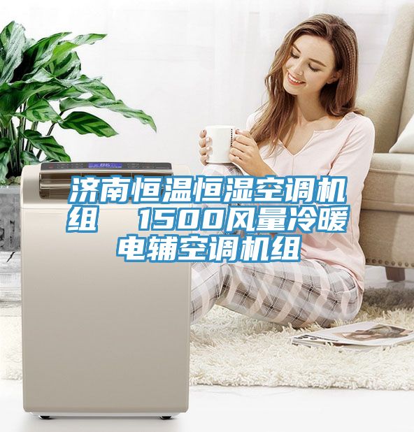 濟南恒溫恒濕空調機組  1500風量冷暖電輔空調機組