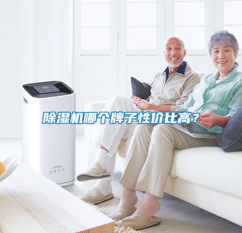 除濕機哪個牌子性價比高？