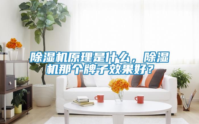 除濕機原理是什么，除濕機那個牌子效果好？
