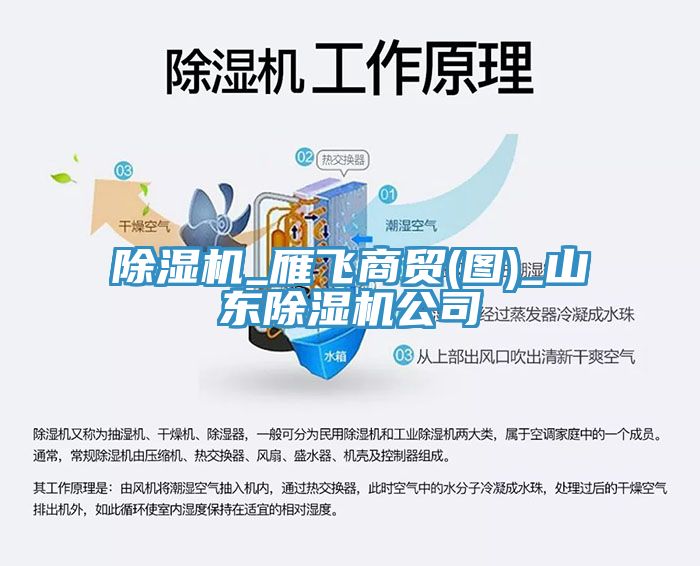 除濕機(jī)_雁飛商貿(mào)(圖)_山東除濕機(jī)公司