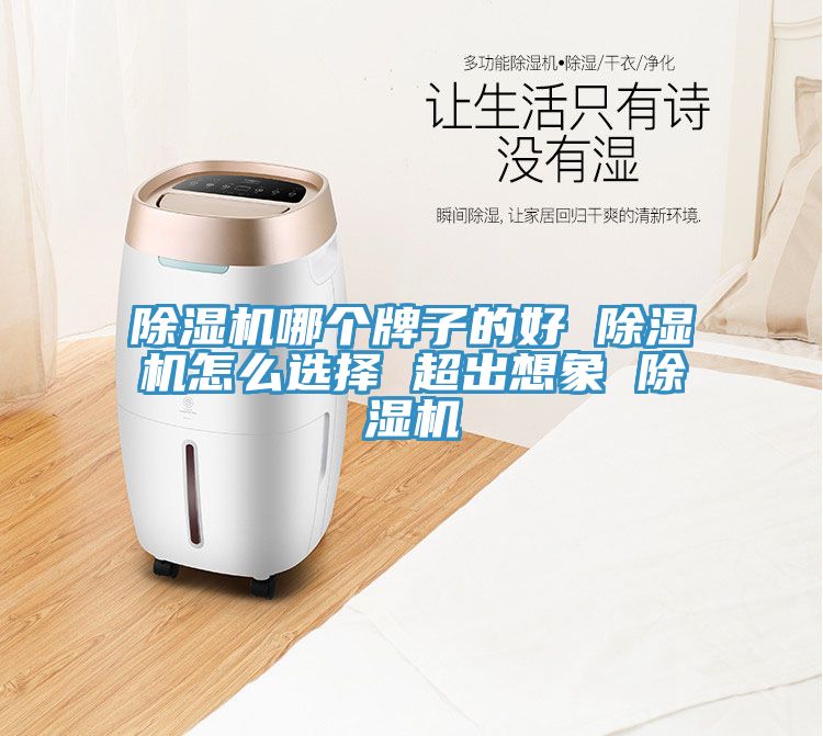 除濕機哪個牌子的好 除濕機怎么選擇 超出想象 除濕機