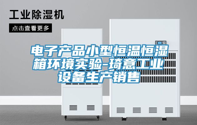 電子產品小型恒溫恒濕箱環(huán)境實驗-琦意工業(yè)設備生產銷售