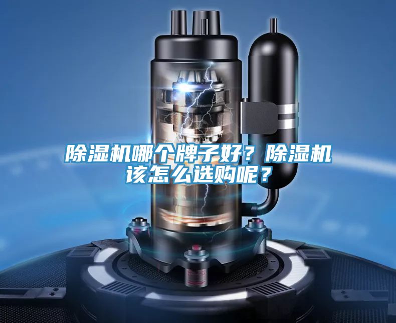 除濕機哪個牌子好？除濕機該怎么選購呢？