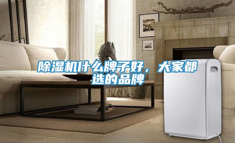 除濕機什么牌子好，大家都選的品牌