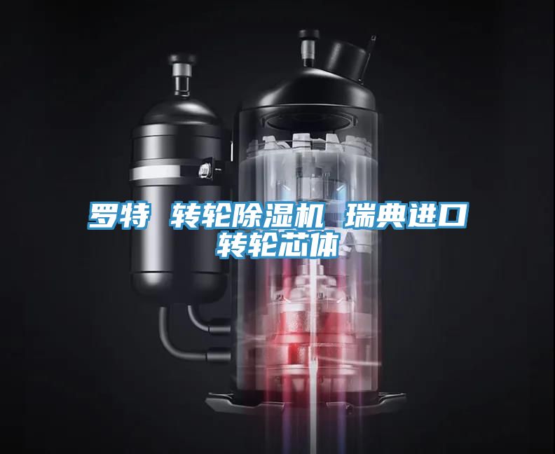 羅特 轉(zhuǎn)輪除濕機(jī) 瑞典進(jìn)口轉(zhuǎn)輪芯體