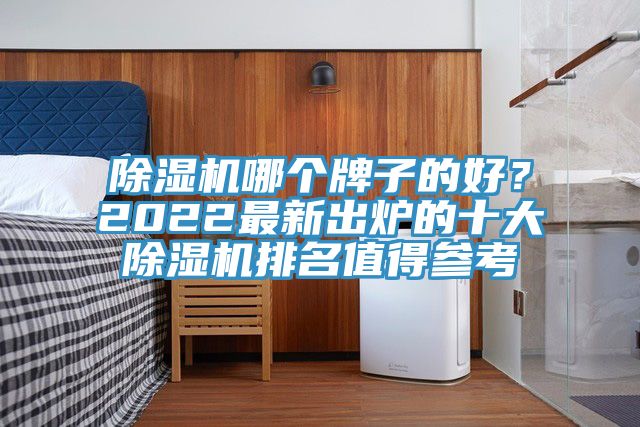 除濕機哪個牌子的好？2022最新出爐的十大除濕機排名值得參考