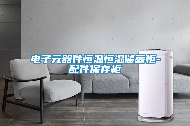 電子元器件恒溫恒濕儲(chǔ)藏柜-配件保存柜