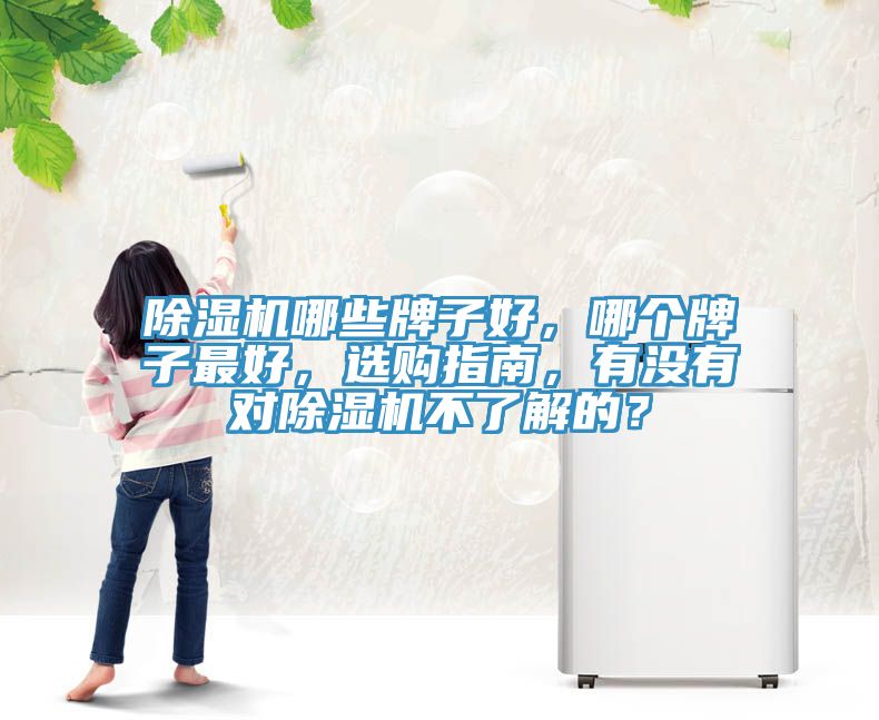 除濕機哪些牌子好，哪個牌子最好，選購指南，有沒有對除濕機不了解的？