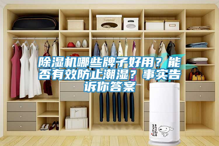 除濕機哪些牌子好用？能否有效防止潮濕？事實告訴你答案