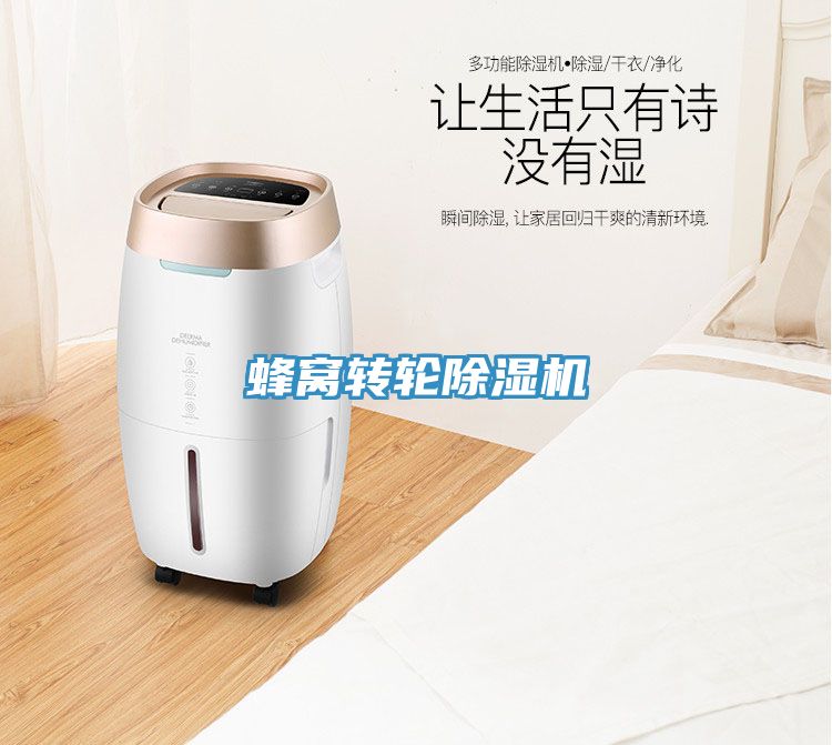 蜂窩轉輪除濕機