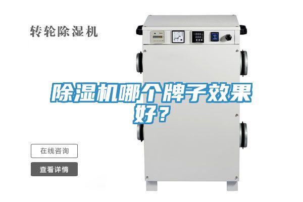 除濕機哪個牌子效果好？