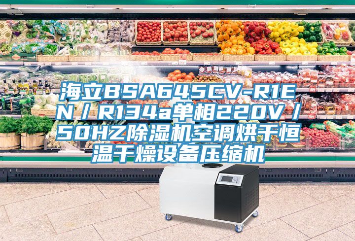 海立BSA645CV-R1EN／R134a單相220V／50HZ除濕機空調(diào)烘干恒溫干燥設備壓縮機